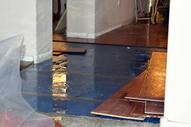 Professional Sewage Cleanup technician working in Linden, TN